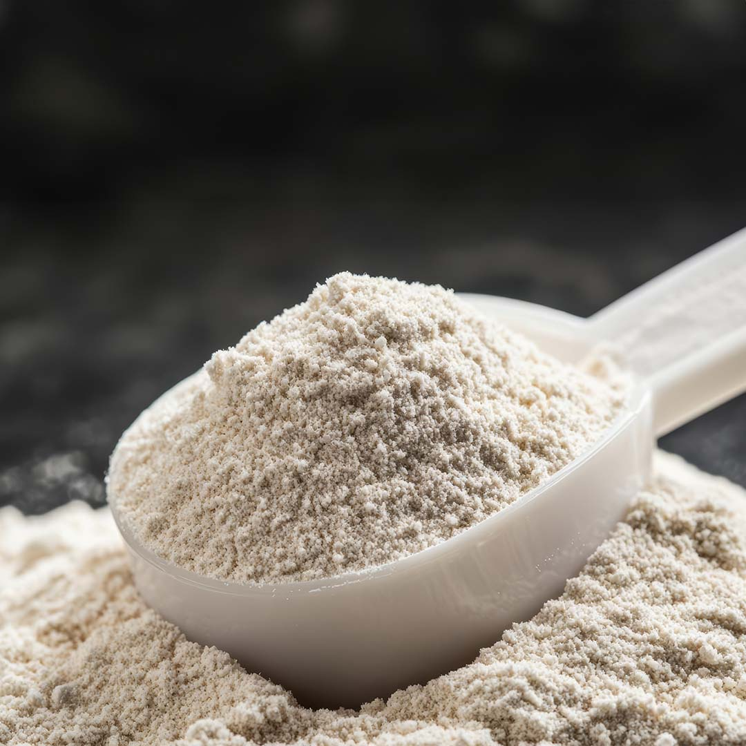 Plano de proximidade de um scoop cheio de proteína em pó, destacando a 'proteína de qualidade'. Ideal para suplementação desportiva, como whey protein ou proteína vegana, focada no aumento de massa muscular e recuperação.